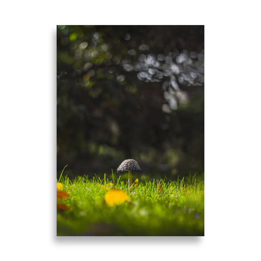 Mushroom Art - Image 4