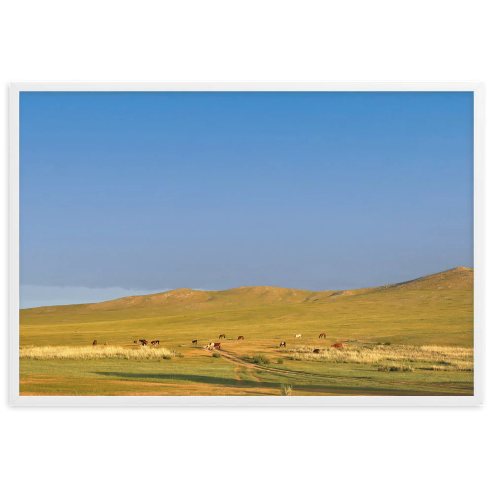 Steppe Morning, Mongolia