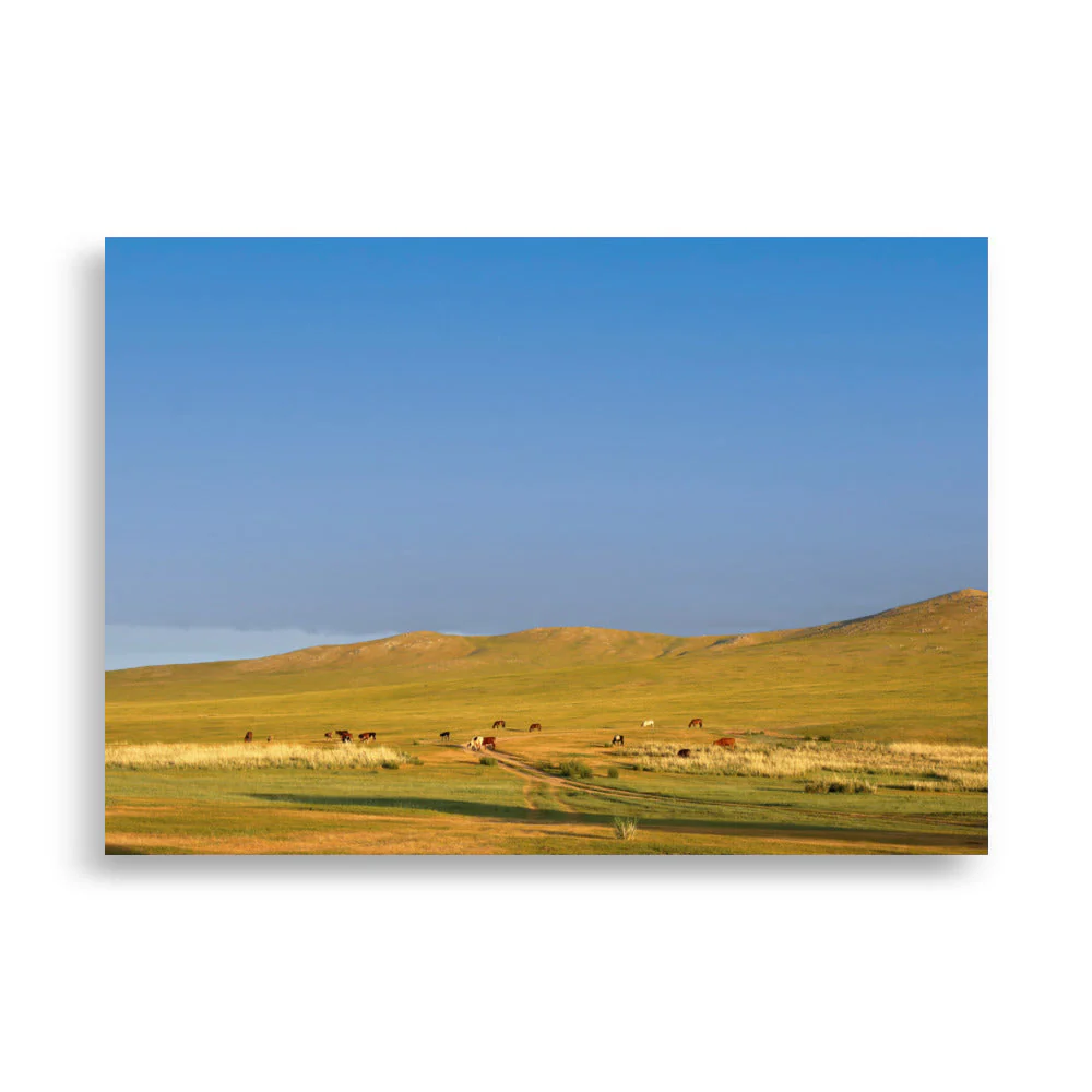 Steppe Morning, Mongolia - Image 2