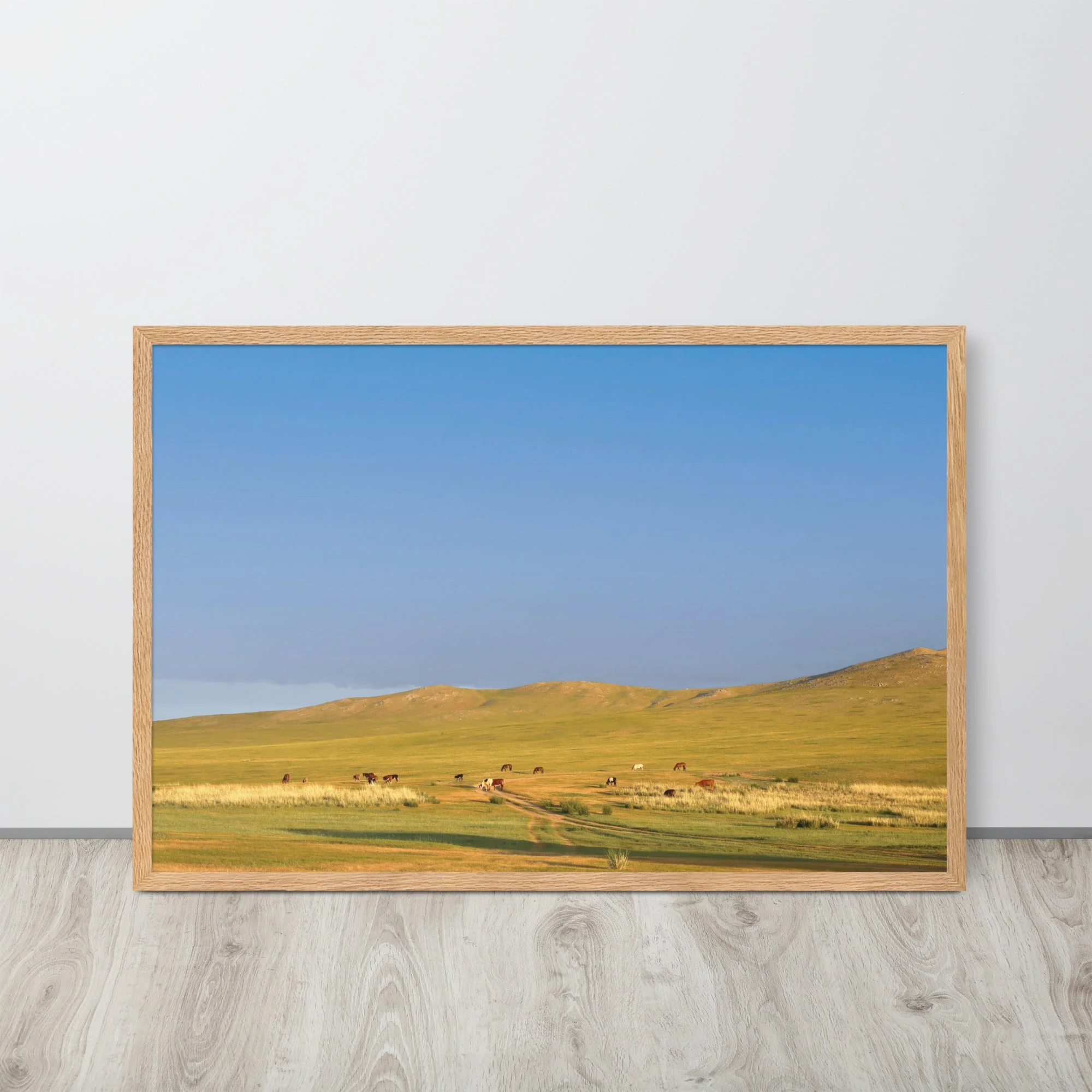 Steppe Morning, Mongolia - Image 4