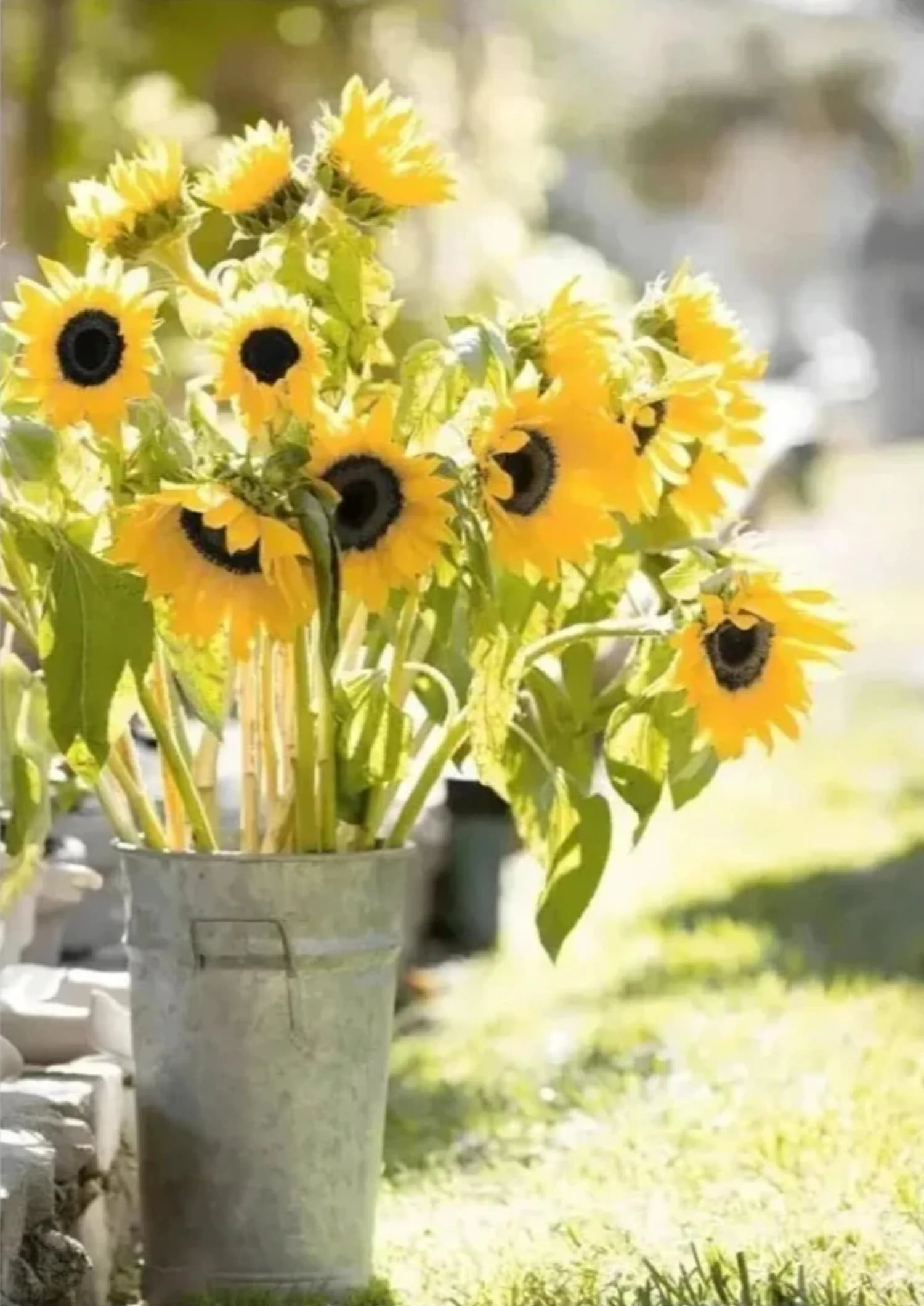 Sunflower Farmhouse | Rustic Windmill Scene - Image 4