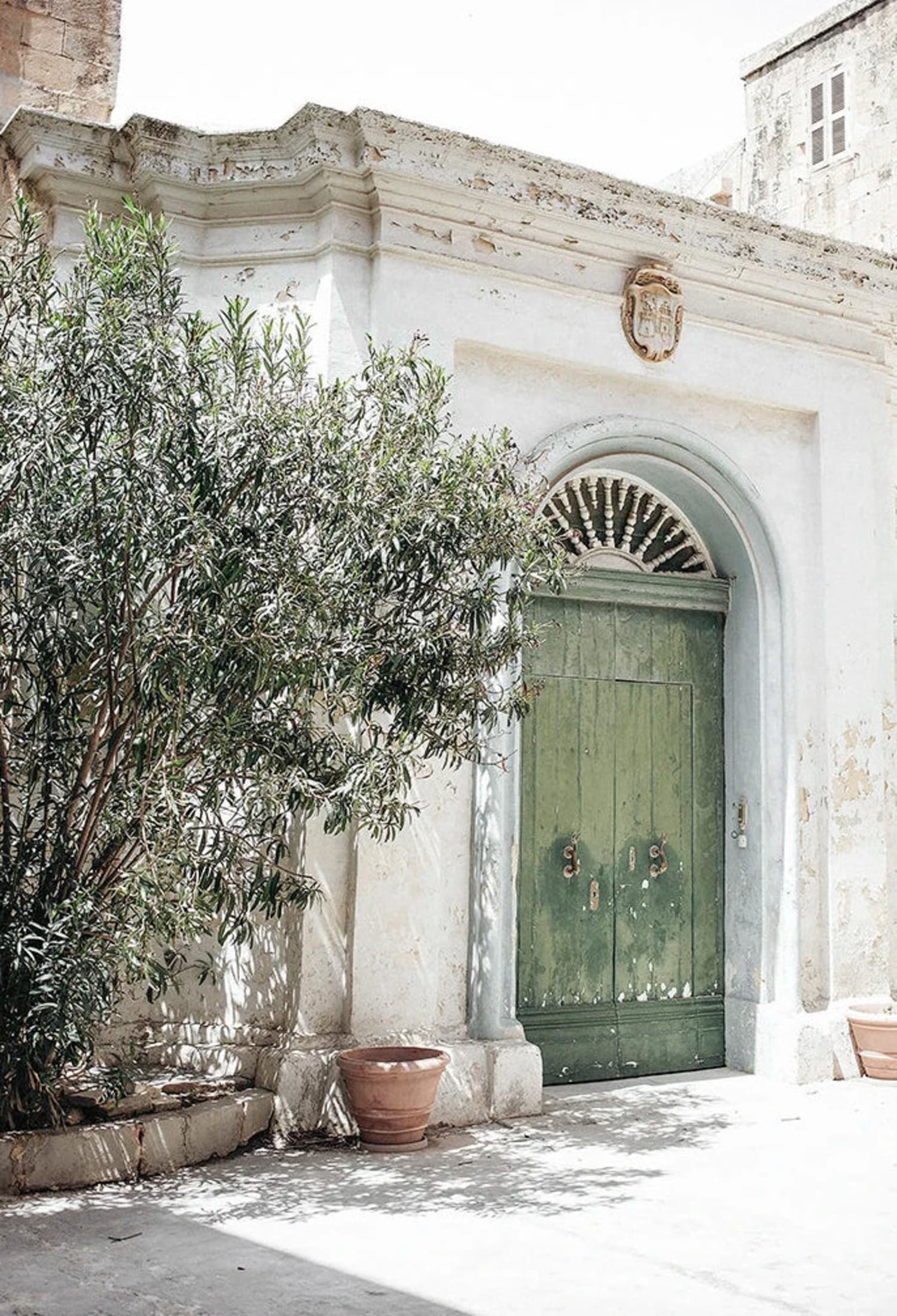 Olive Garden Landscape | Green Oasis | Italy Nature Scene - Image 4