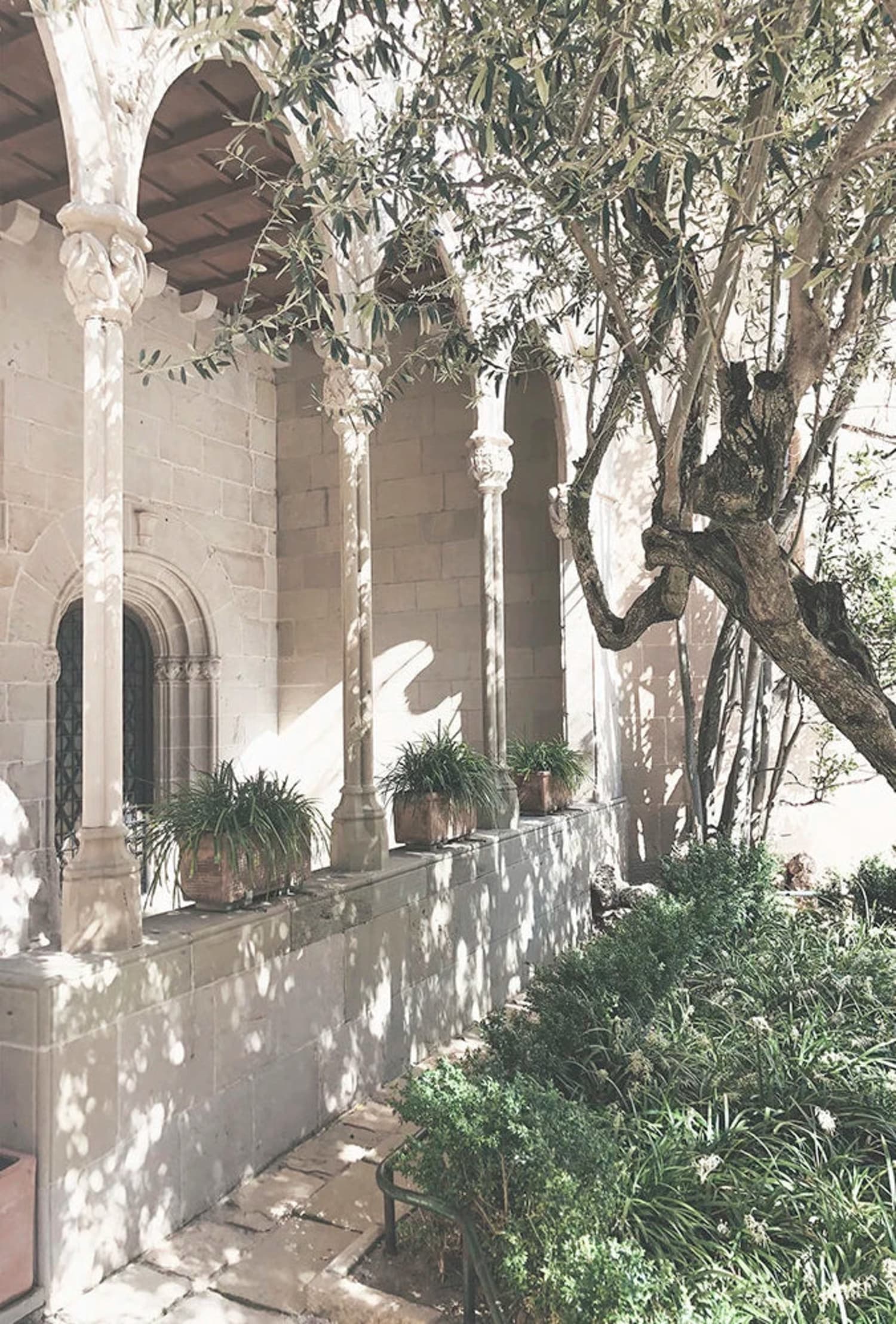 Italy Arches & Leaves | Olive Garden Scene - Image 4