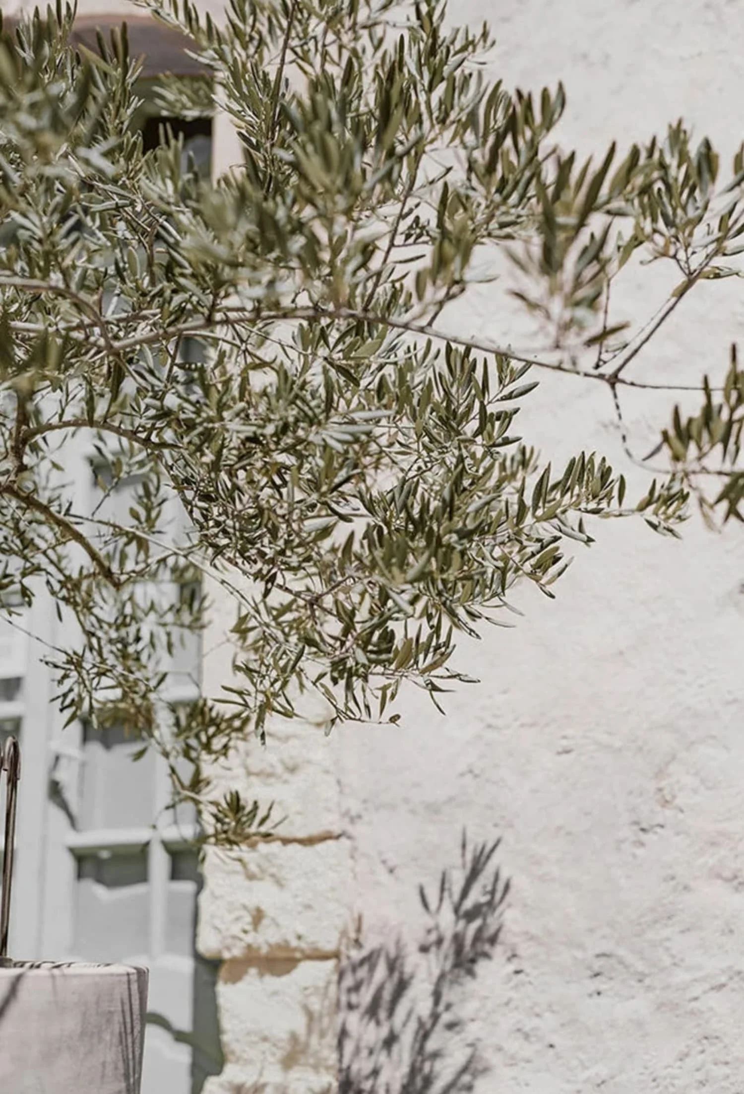 Olive Garden Italy | Echoes of Heritage - Image 4