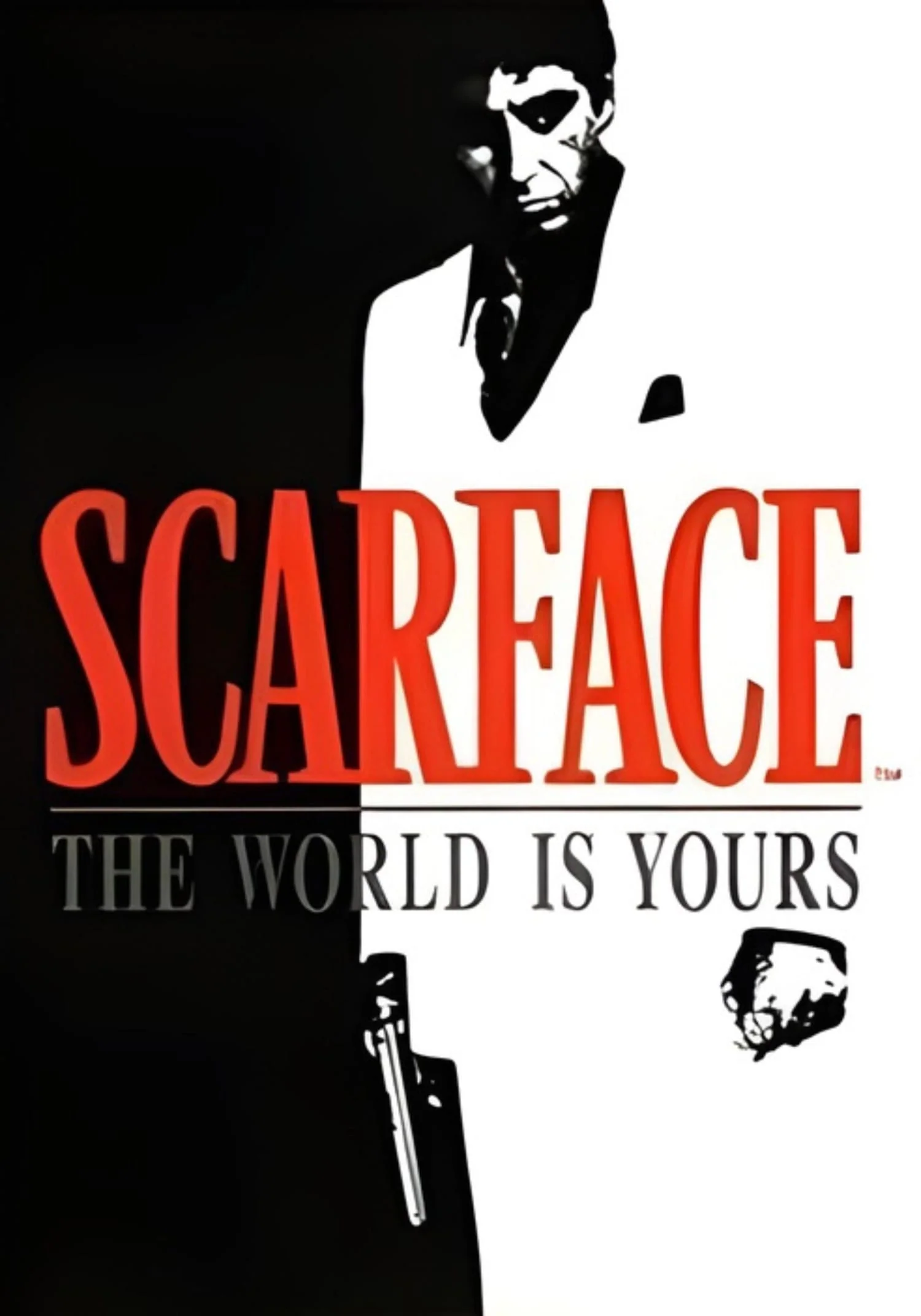 Scarface | The World Is Yours | Tony Montana - Image 4