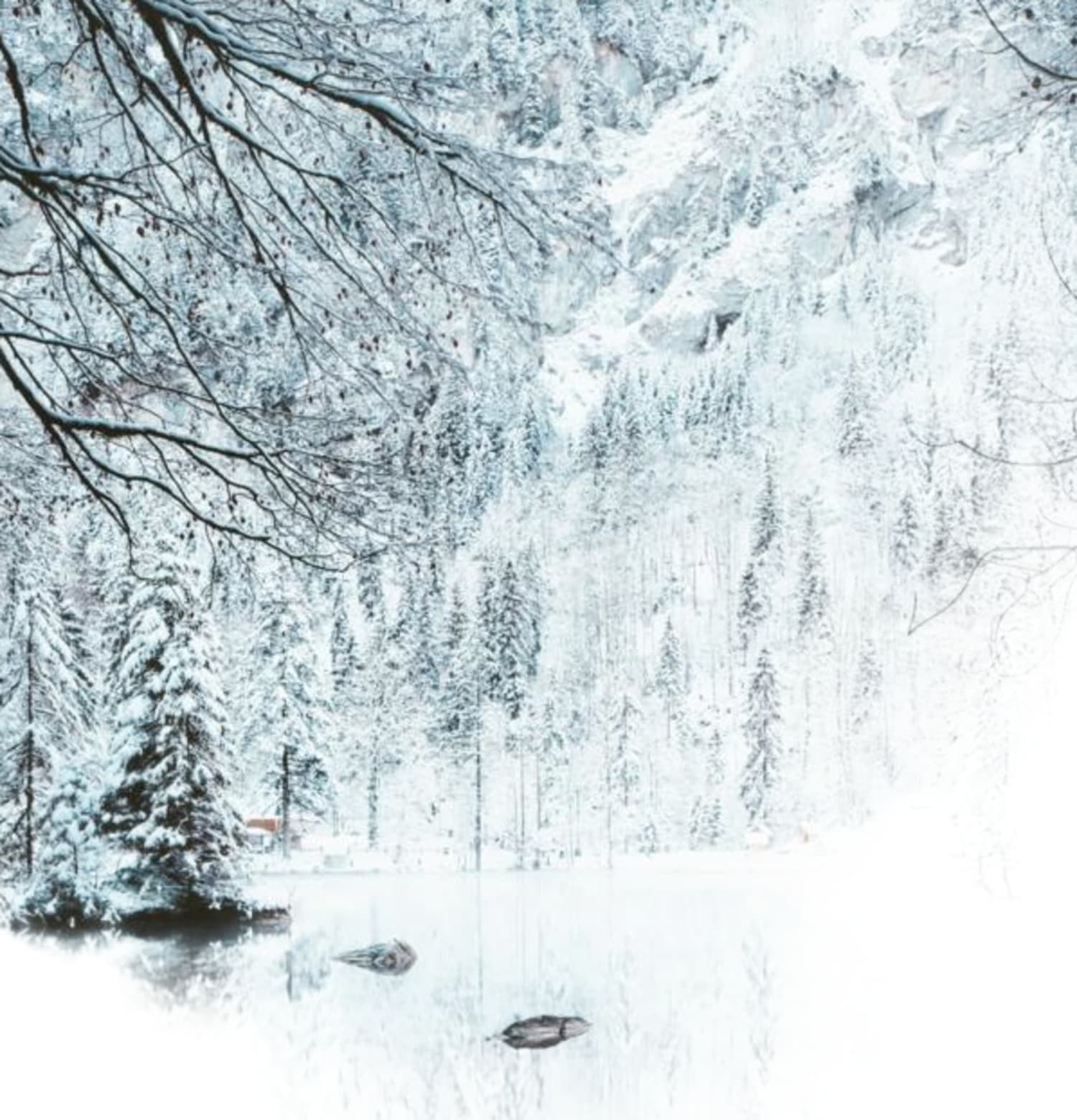 Winter Landscape | Ice Lake Scenic View - Image 4