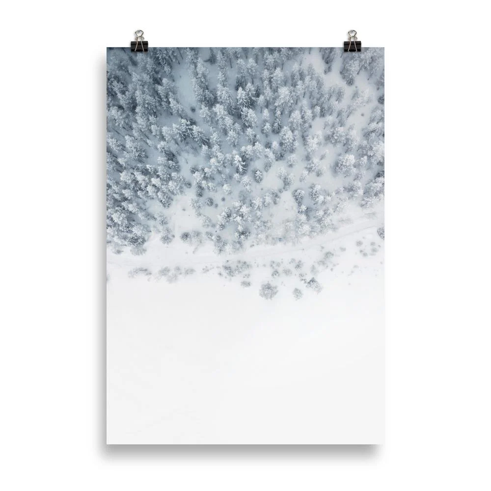 Forest Entry | Winter Scenic Nature - Image 3