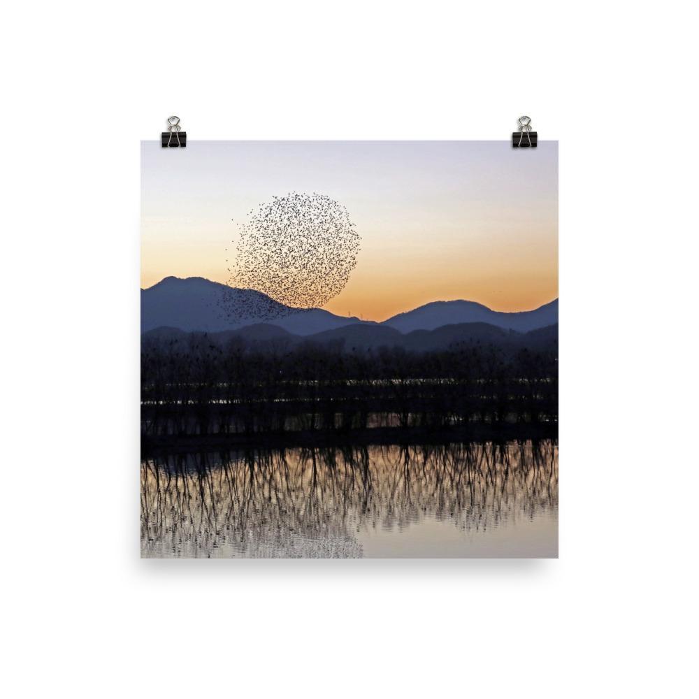 Sunset in Junam Reservoir - Image 4