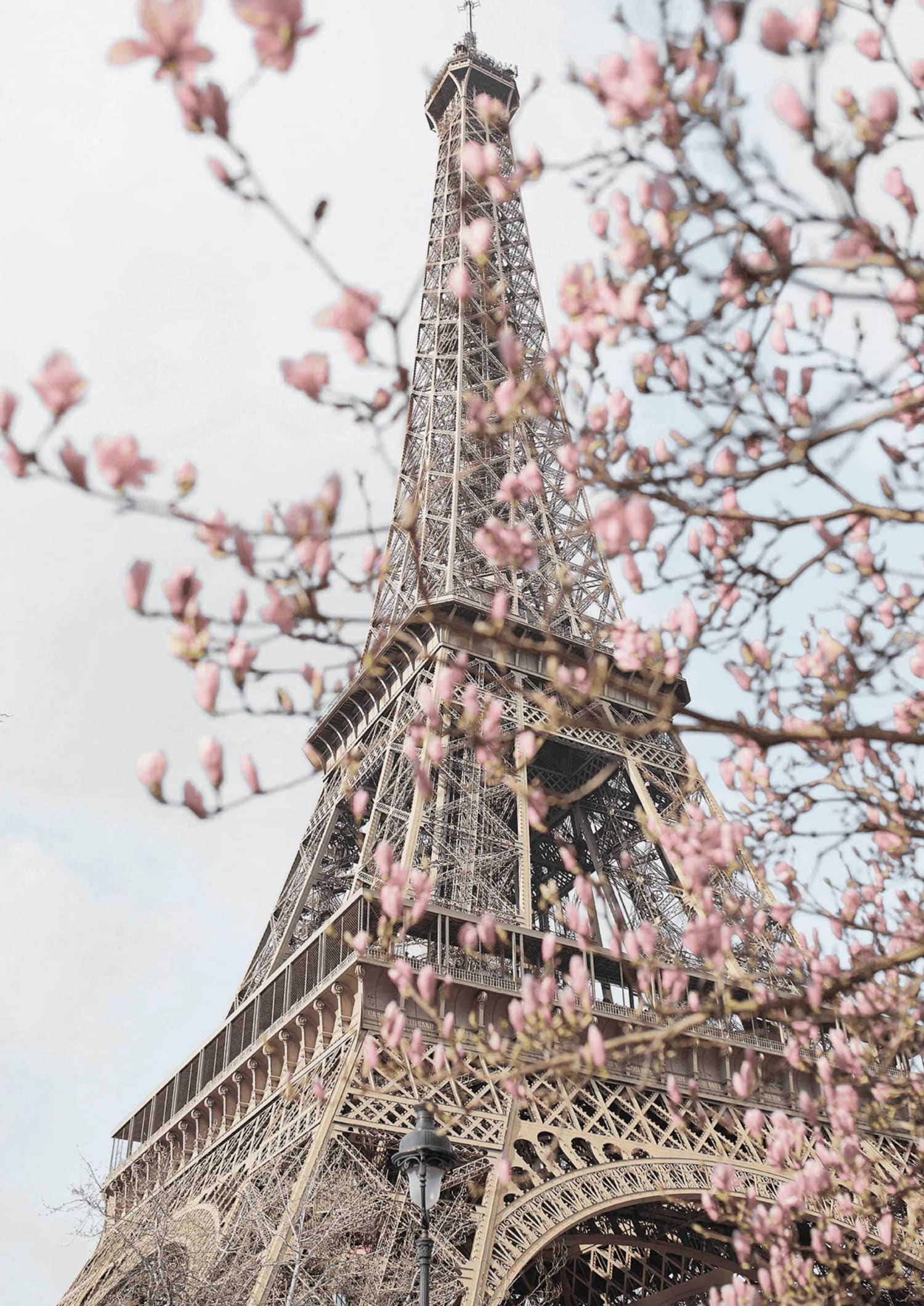Eiffel Tower with Flowers | Artistic Decor - Image 4