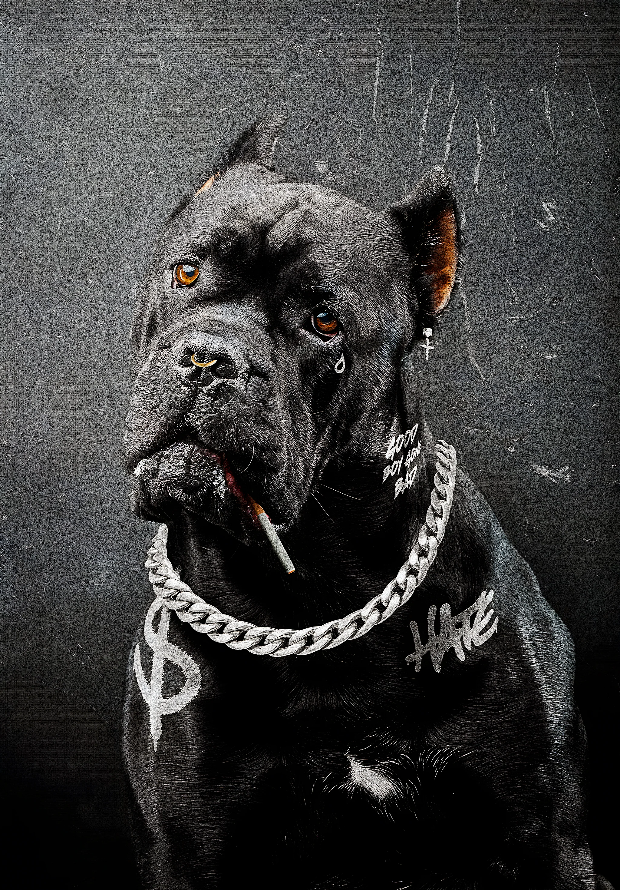 Black Dog Graffiti | Urban Street Art - Image 4