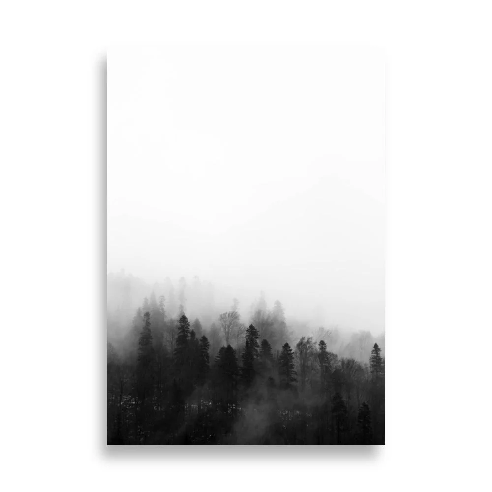Forest in Fog - Image 3